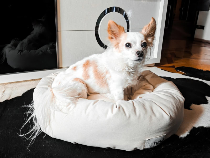 Nest Bedding Dog Bed - lorelei lying on the product