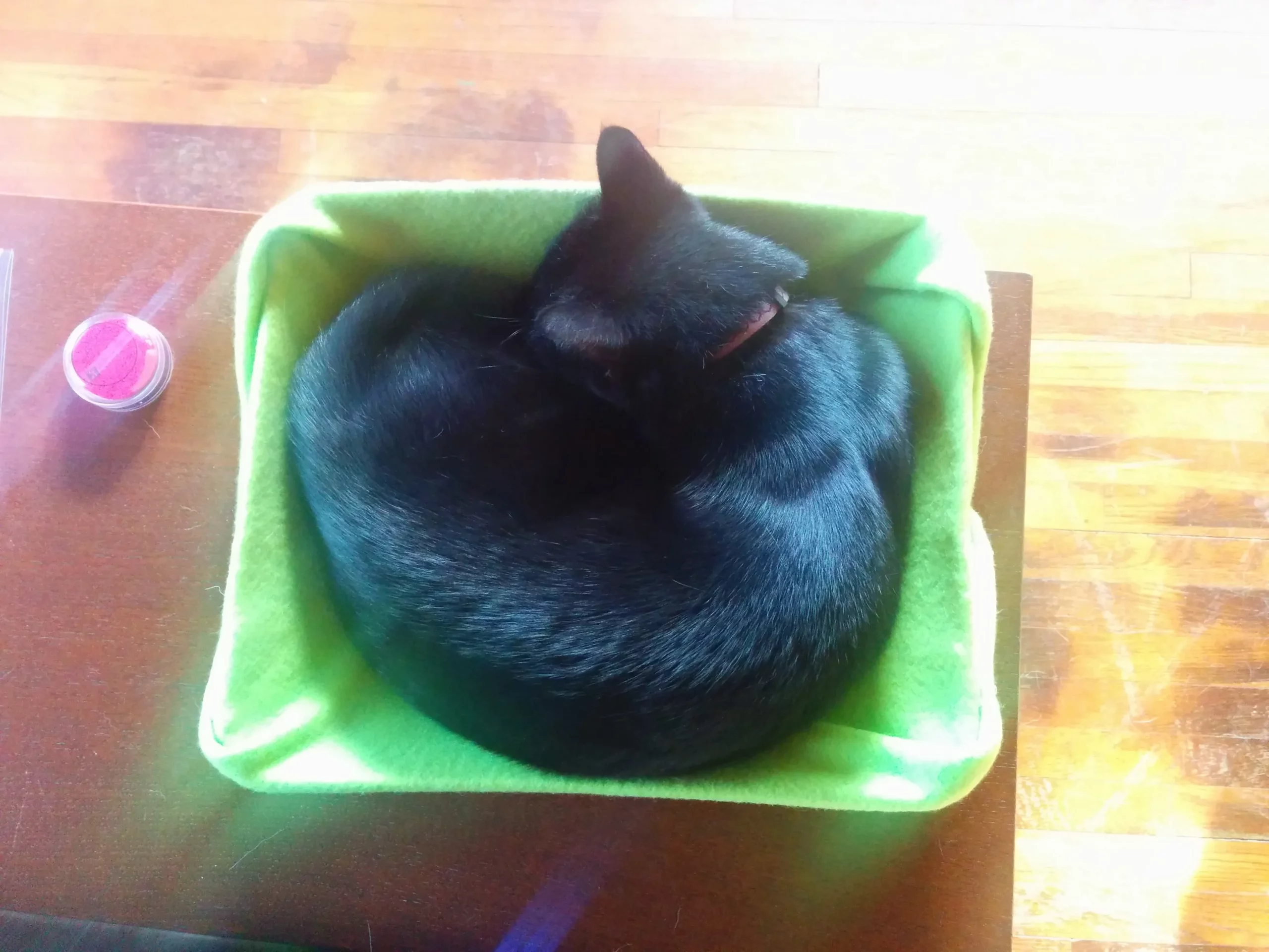 No sew cat bed