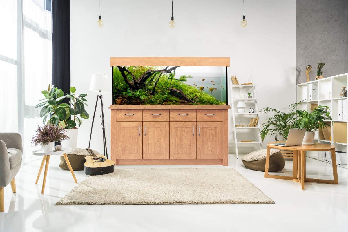 Oak Aquarium Fish Tank in the living room