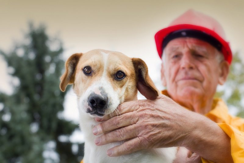 Old man rescuing dog from natural disaster