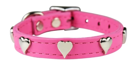 OmniPet Signature Leather Heart Dog Collar