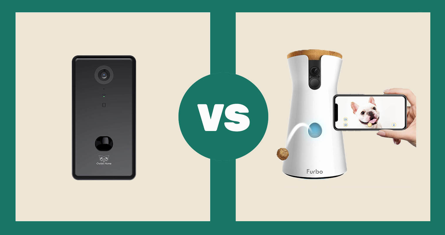 Owlet Home Pet Camera vs Furbo Dog Camera