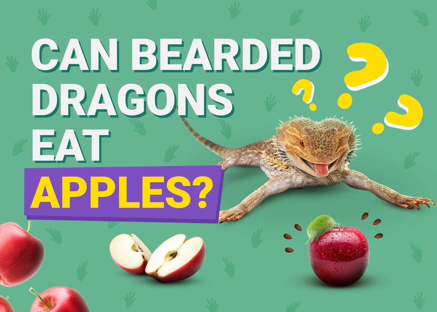 can bearded dragons eat apples