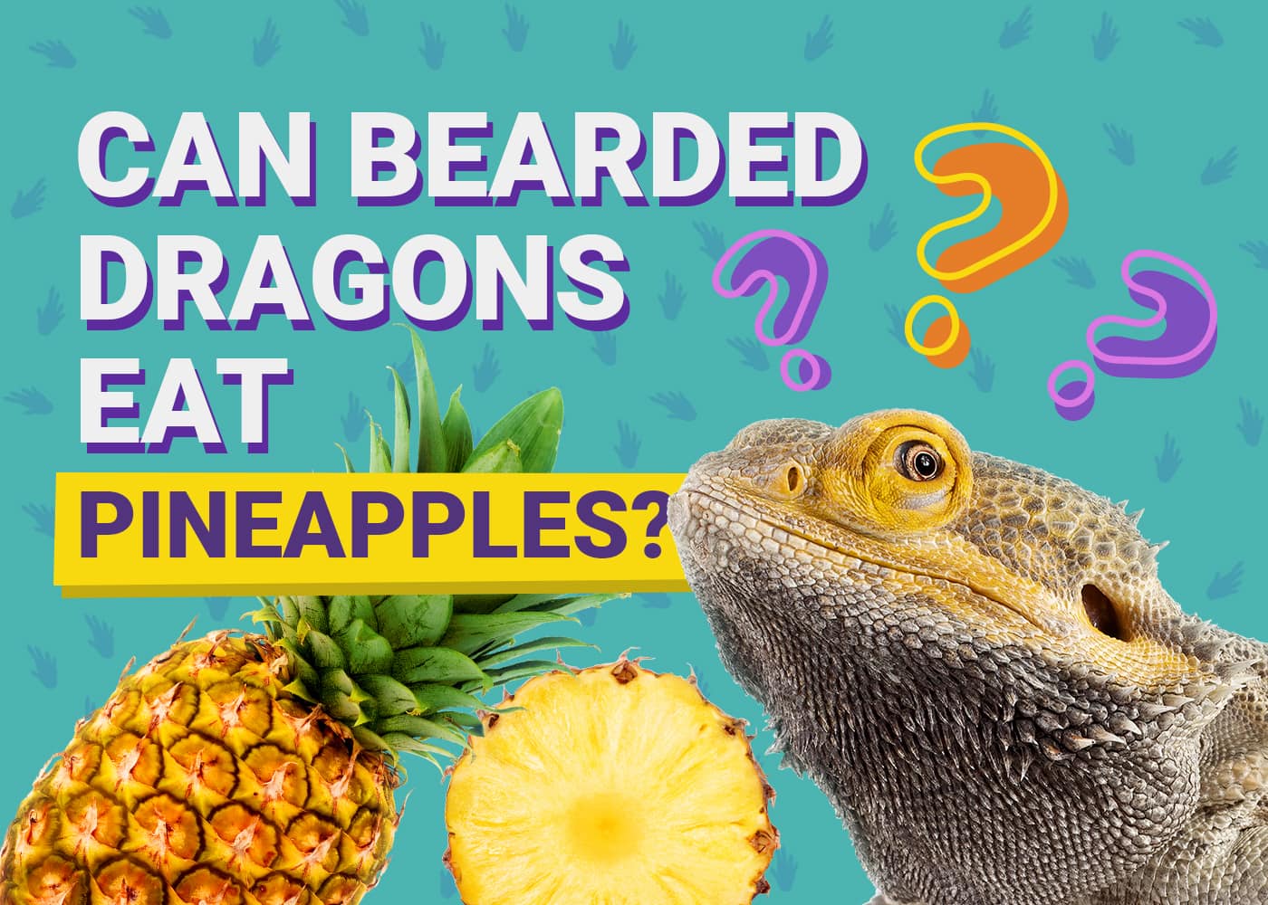 Can Bearded Dragons Eat_v2 pineapple