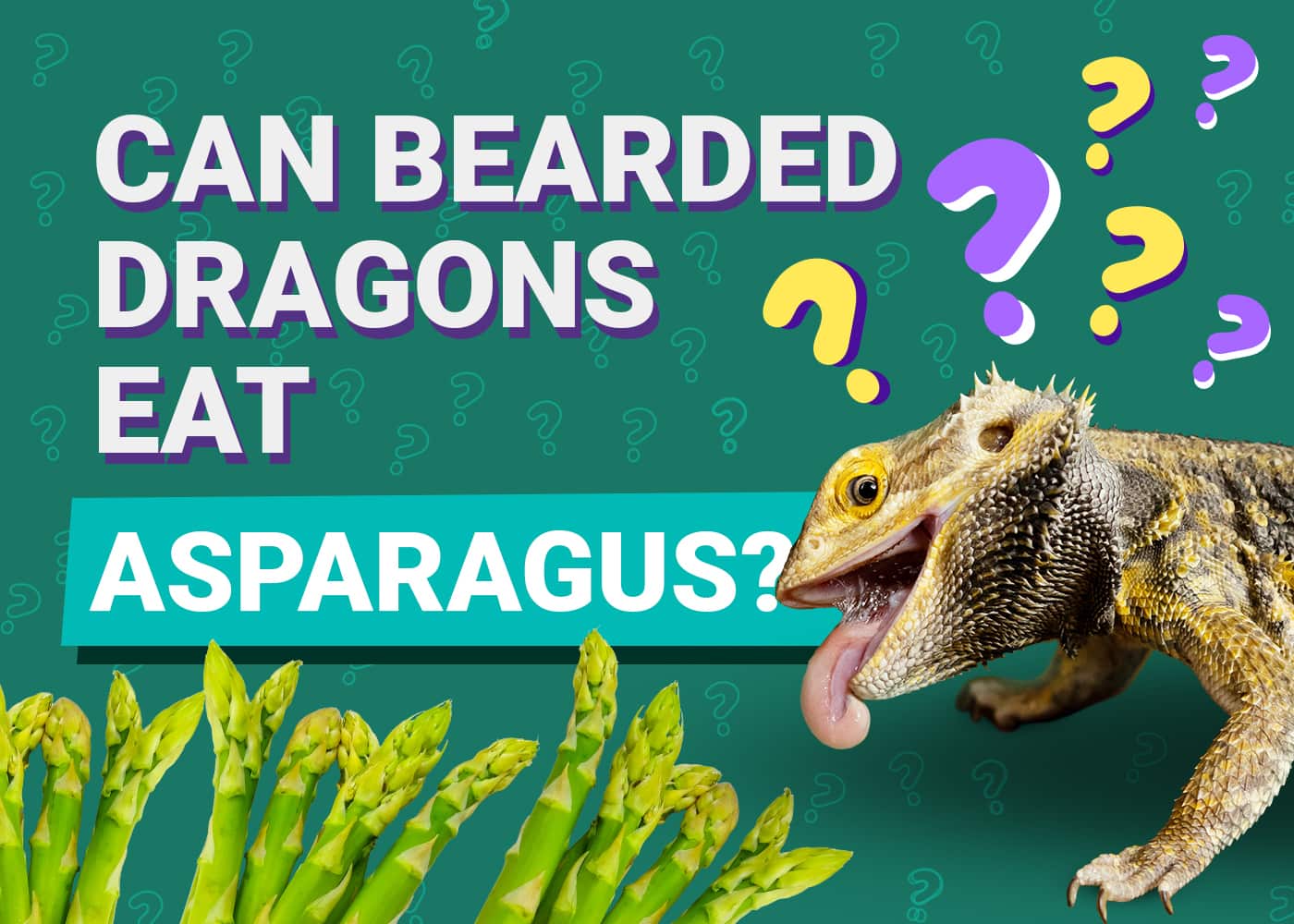 Can bearded dragons eat asparagus