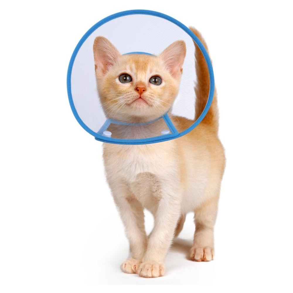 PETBABA Cat Cone Collar in Recovery