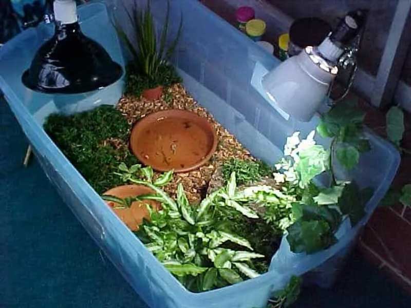 DIY Indoor Turtle Habitats