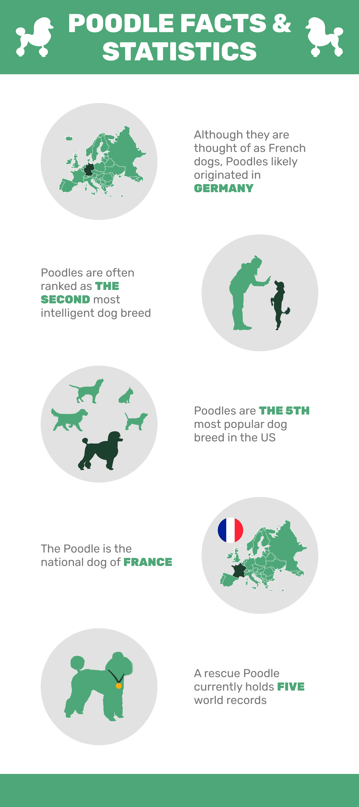 POODLE_FACTS_&_STATISTICS-1