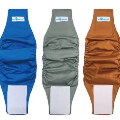 Paw Inspired Belly Band