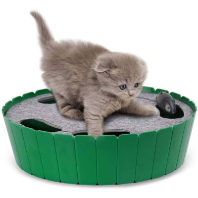 Pawaboo Cat Toy With Running Mouse