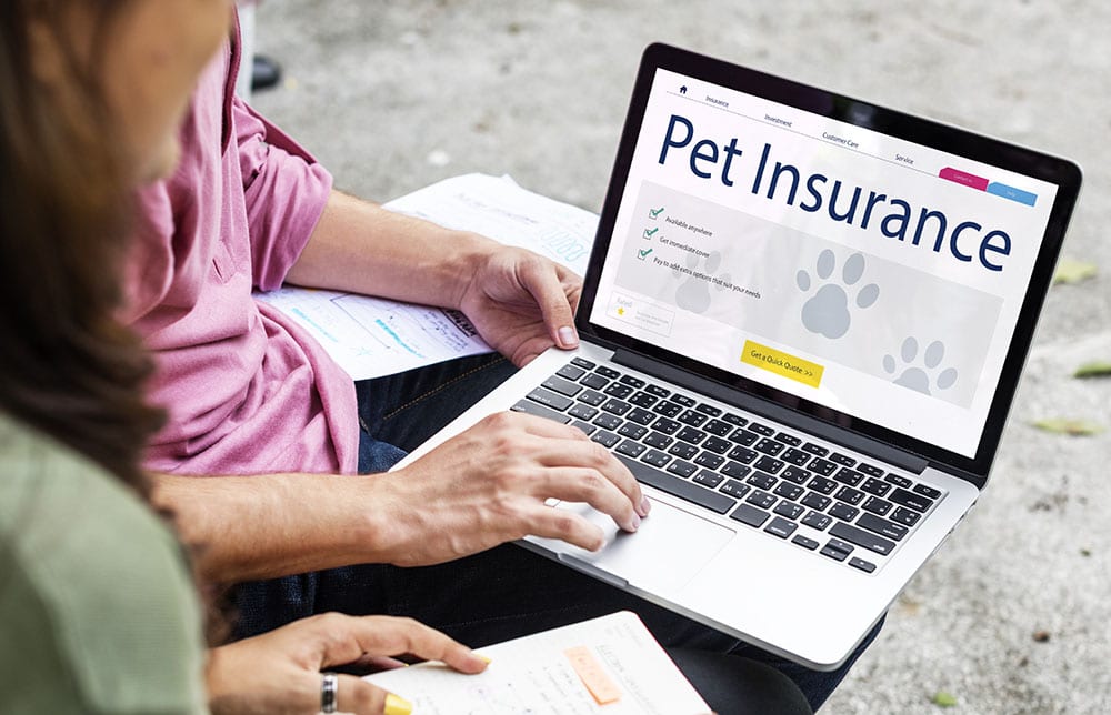 Pet Insurance Care Guarantee Concept