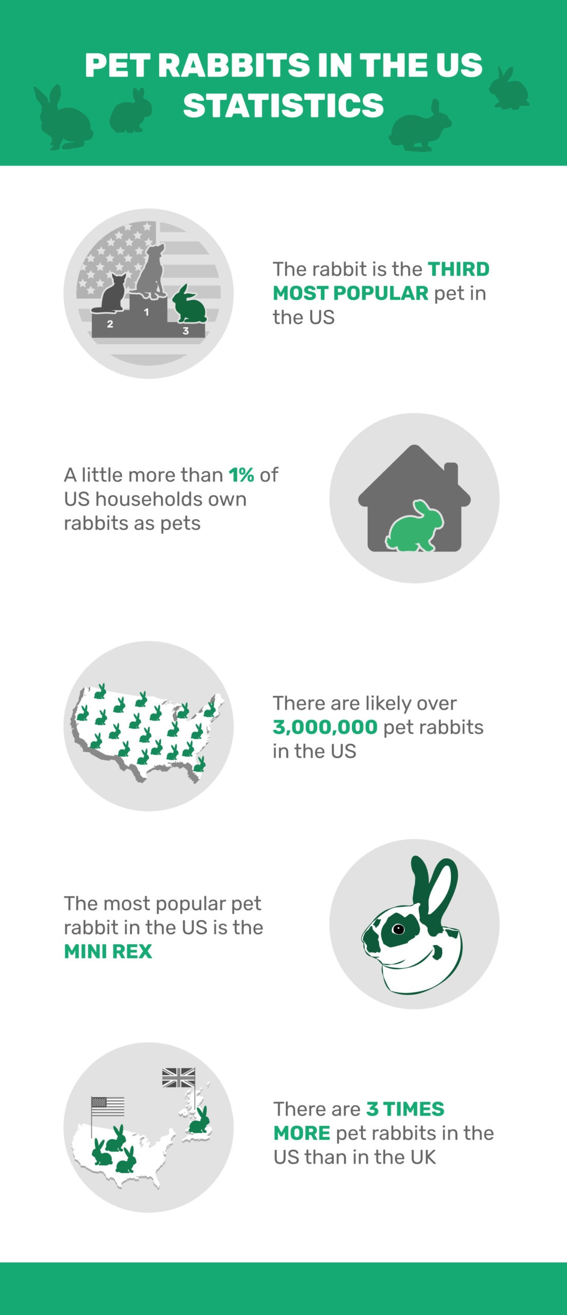 Pet-Rabbits-in-the-US-Statistics