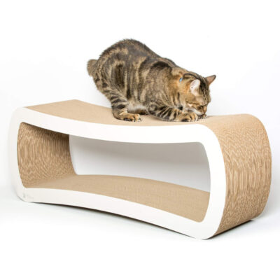 PetFusion Jumbo Lounger