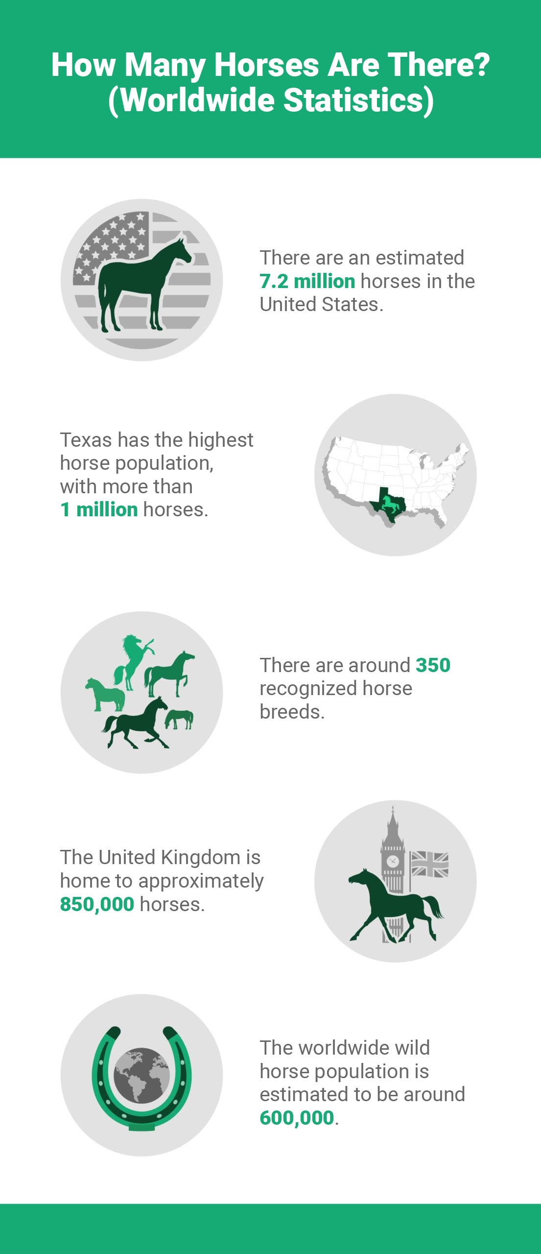 How Many Horses Are There