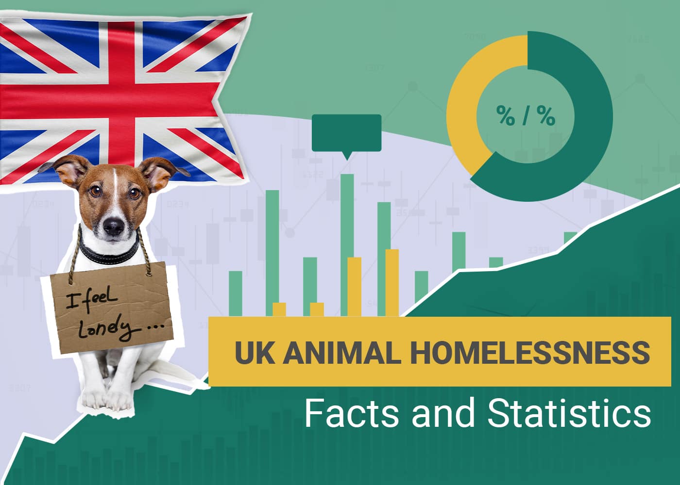 UK Animal Homeslessness Facts and Statistics