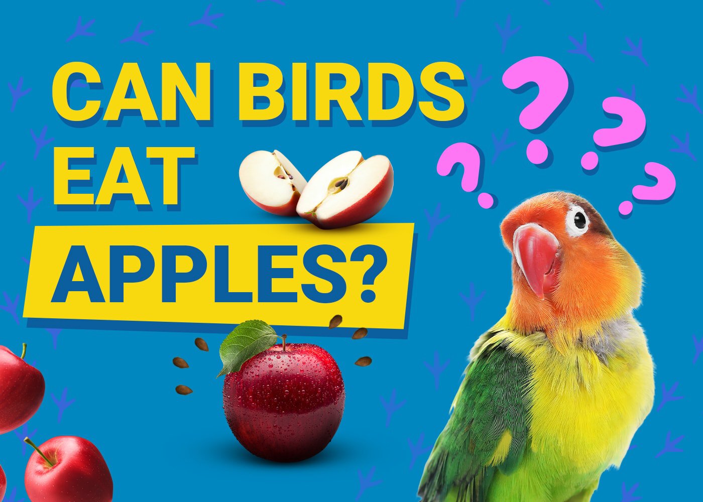 PetKeen_Can Birds Eat_apples