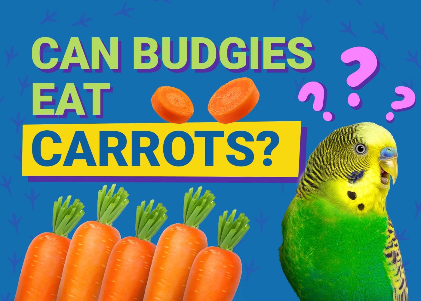 PetKeen_Can Budgies Eat_carrots