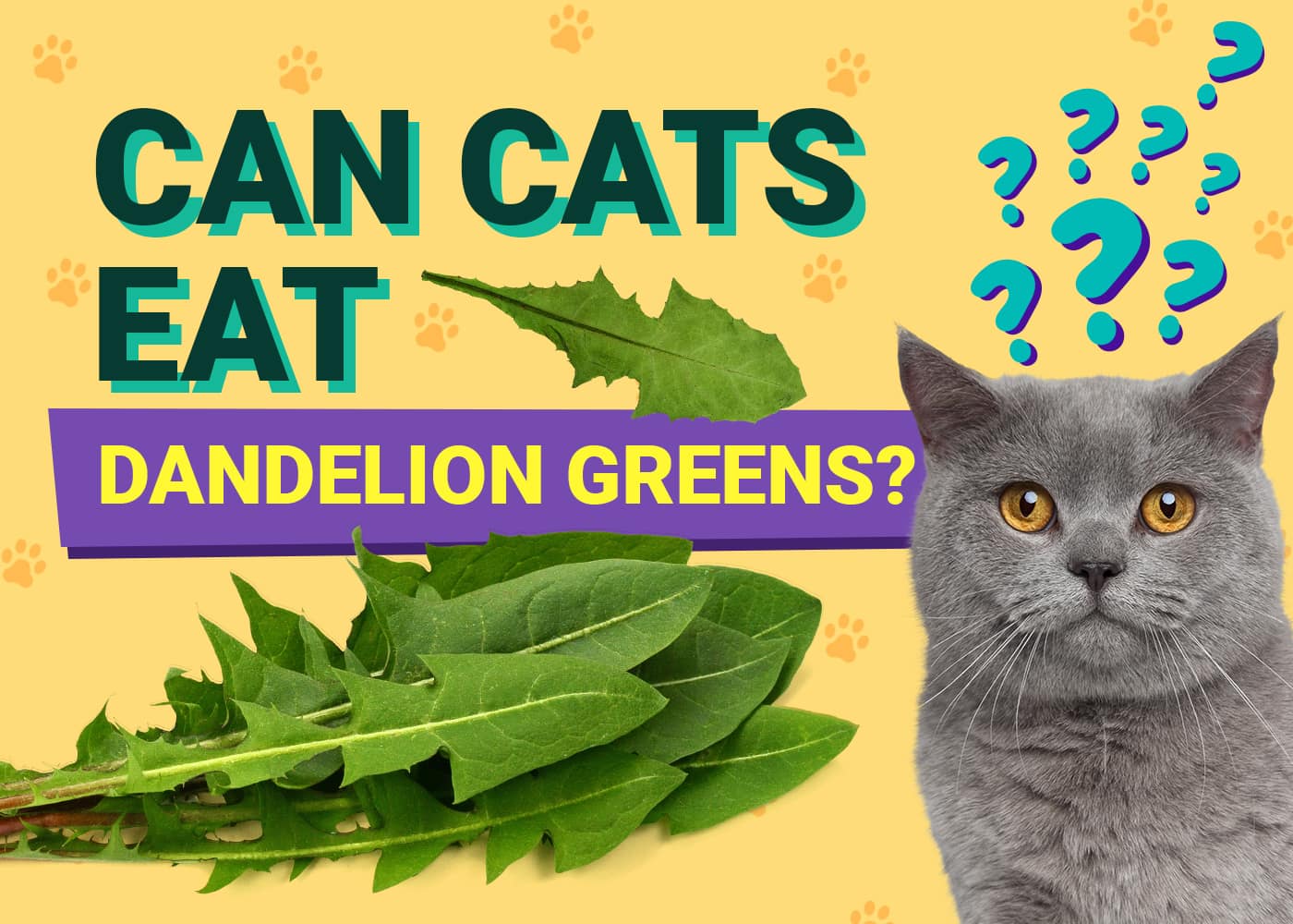 PetKeen_Can Cats Eat_dandelion greens