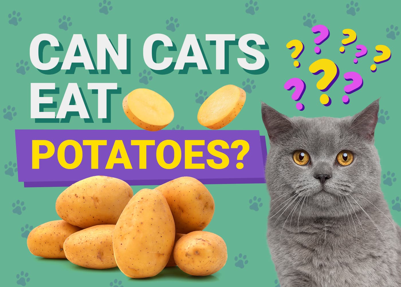 PetKeen_Can Cats Eat_potatoes