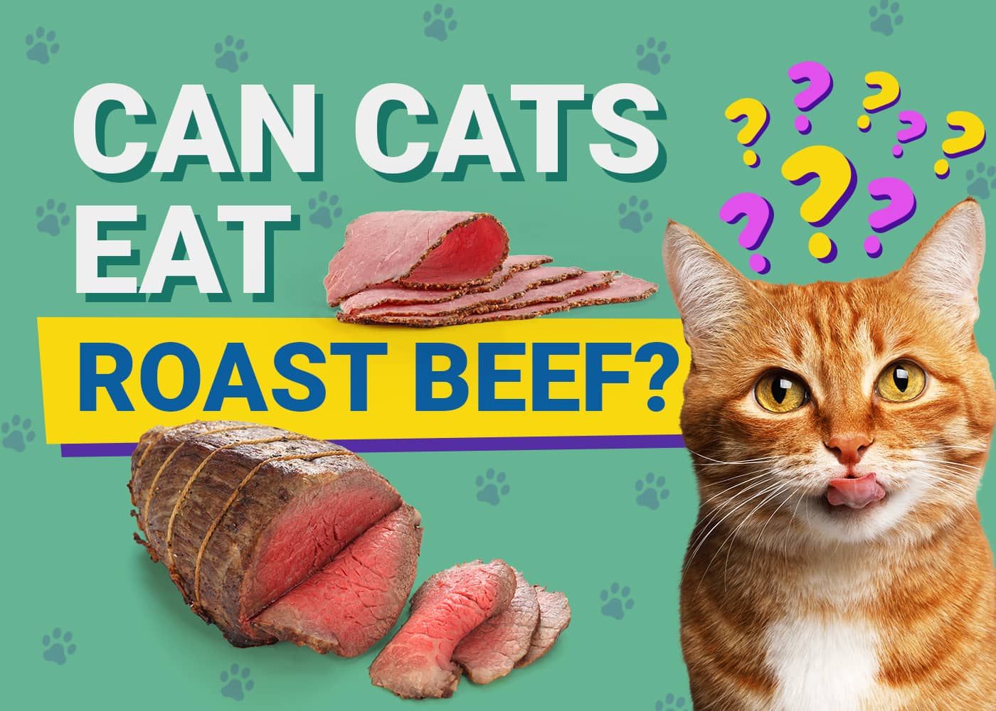 PetKeen_Can Cats Eat_roast beef