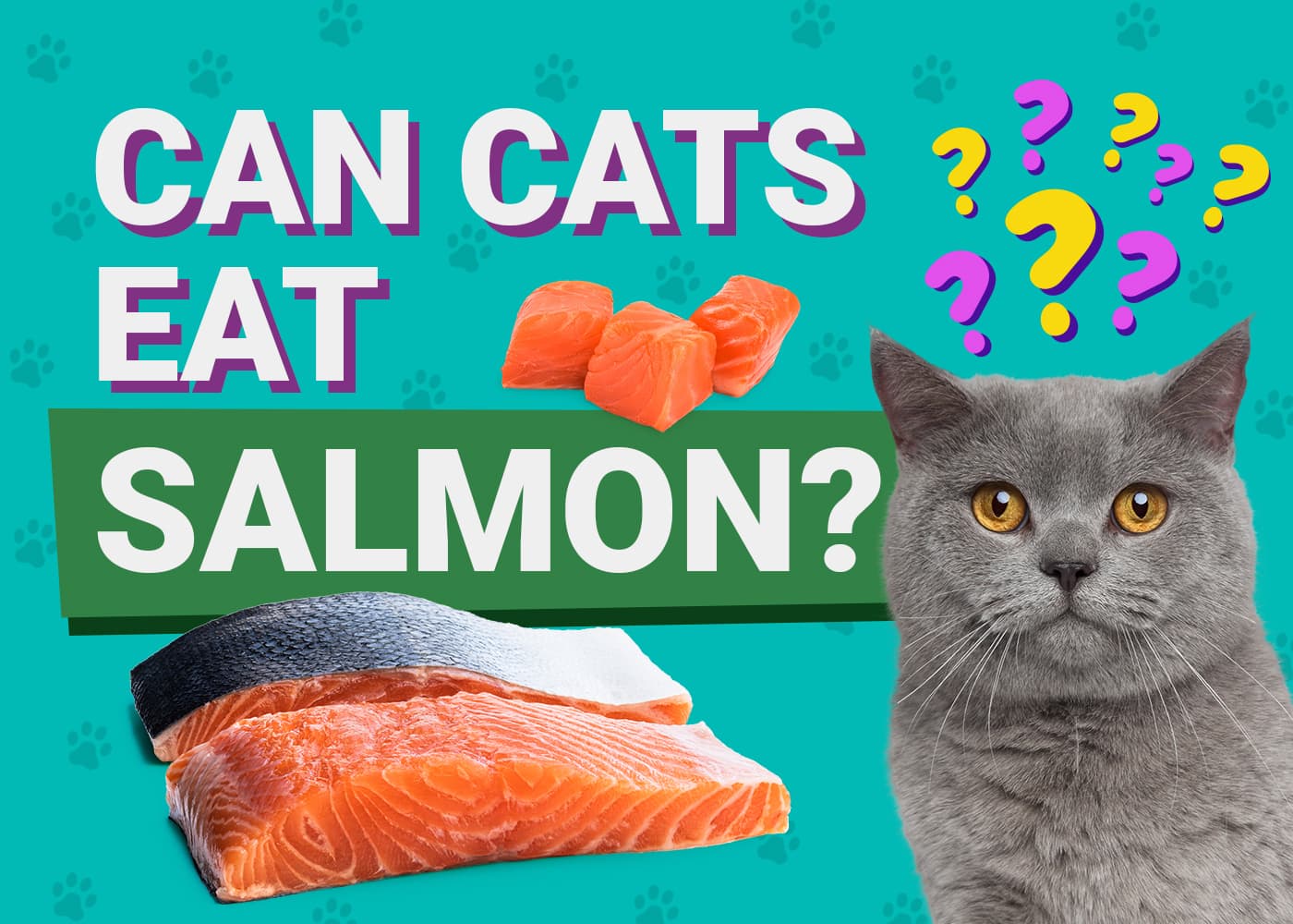 PetKeen_Can Cats Eat_salmon
