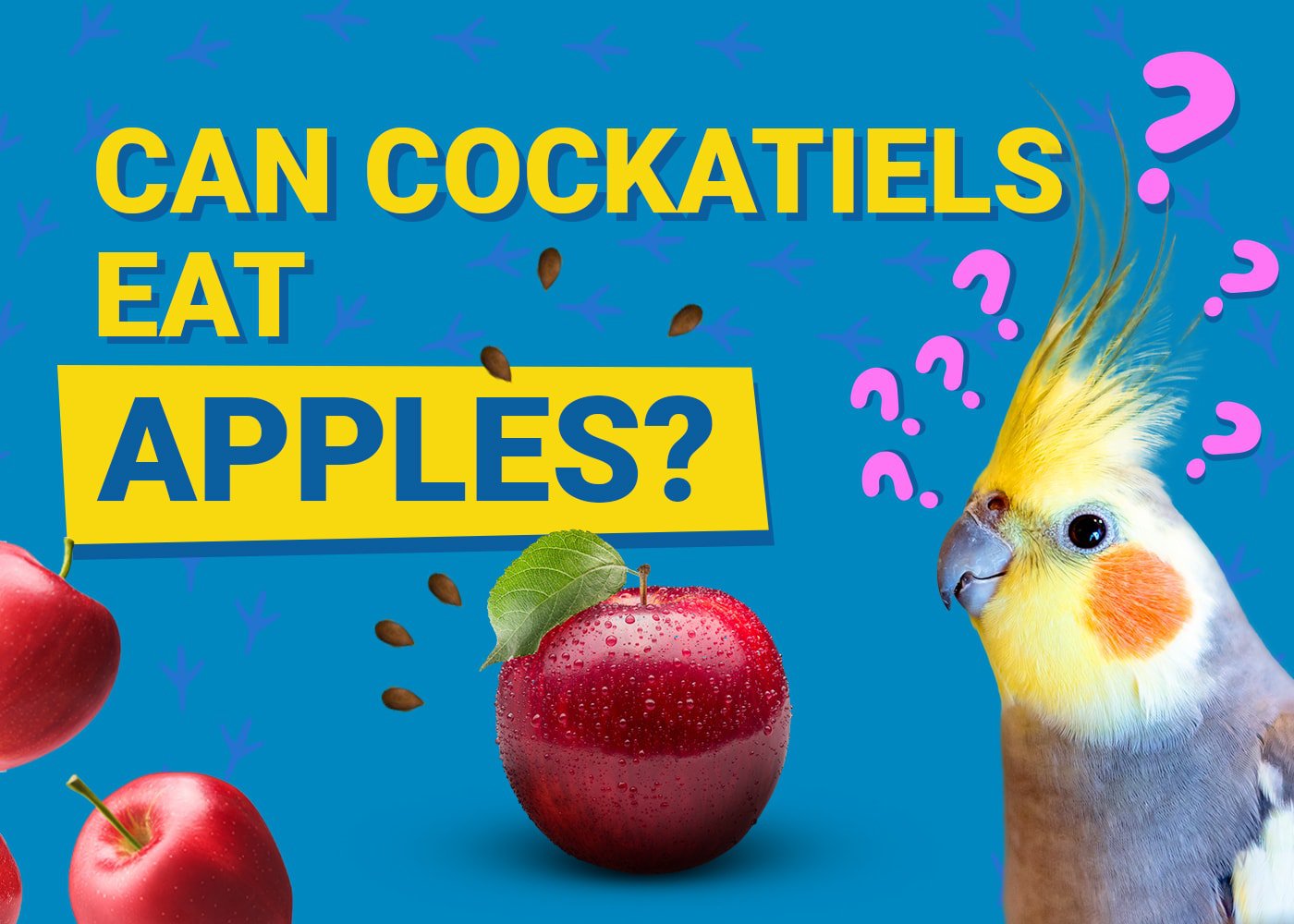 PetKeen_Can Cockatiels Eat_apples