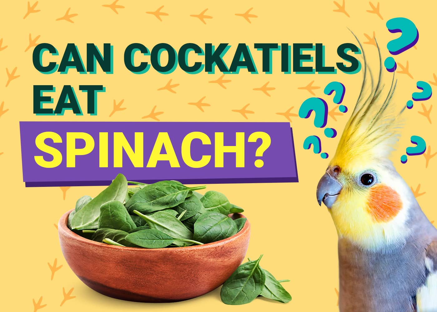 PetKeen_Can Cockatiels Eat_spinach