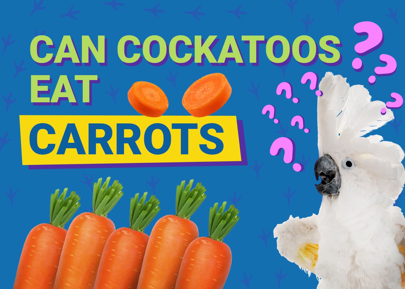 can cockatoos eat carrots