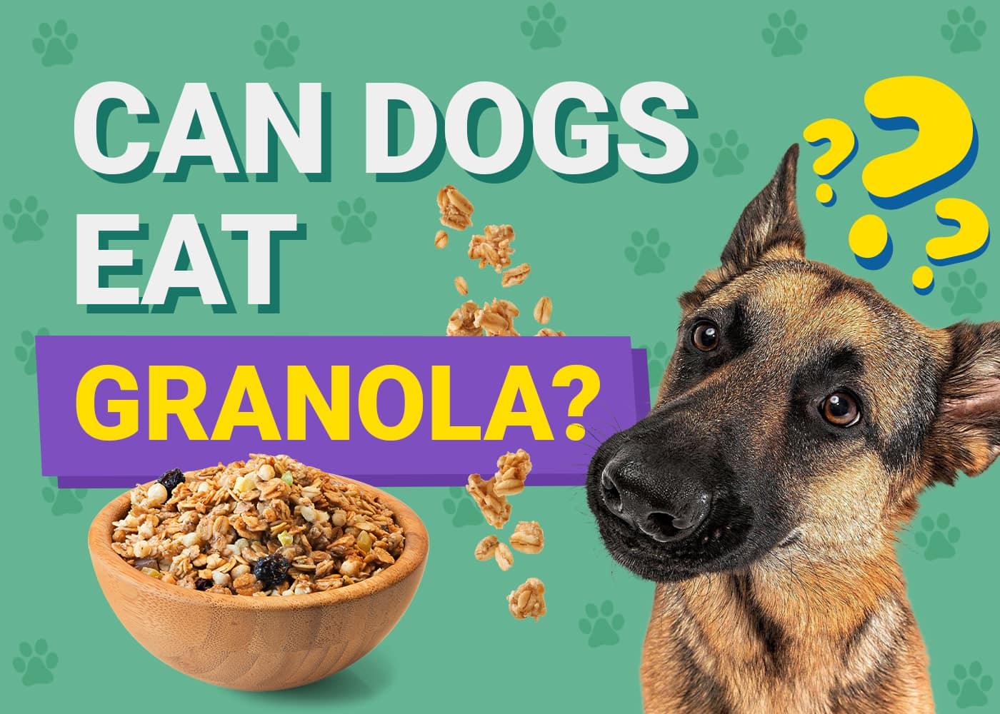 Can Dogs Eat_granola