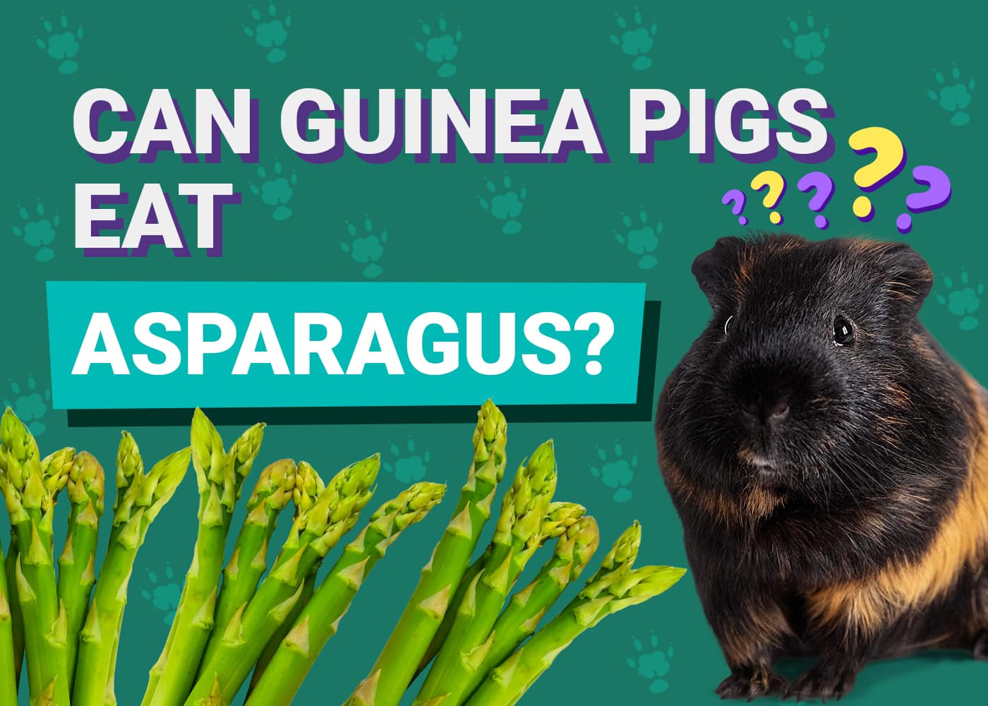 Can Guinea Pigs Eat Asparagus