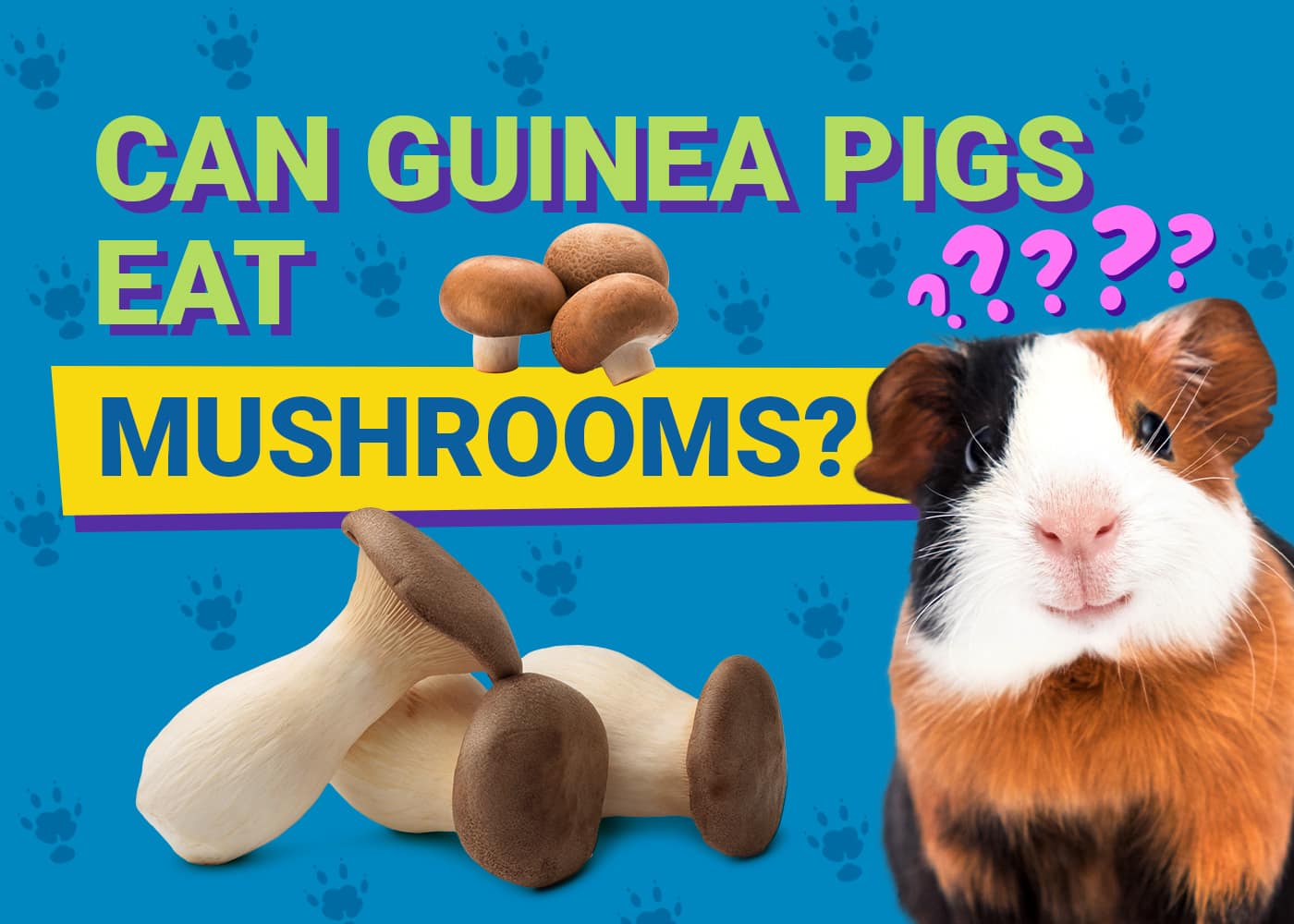 Can Guinea Pigs Eat_mushrooms