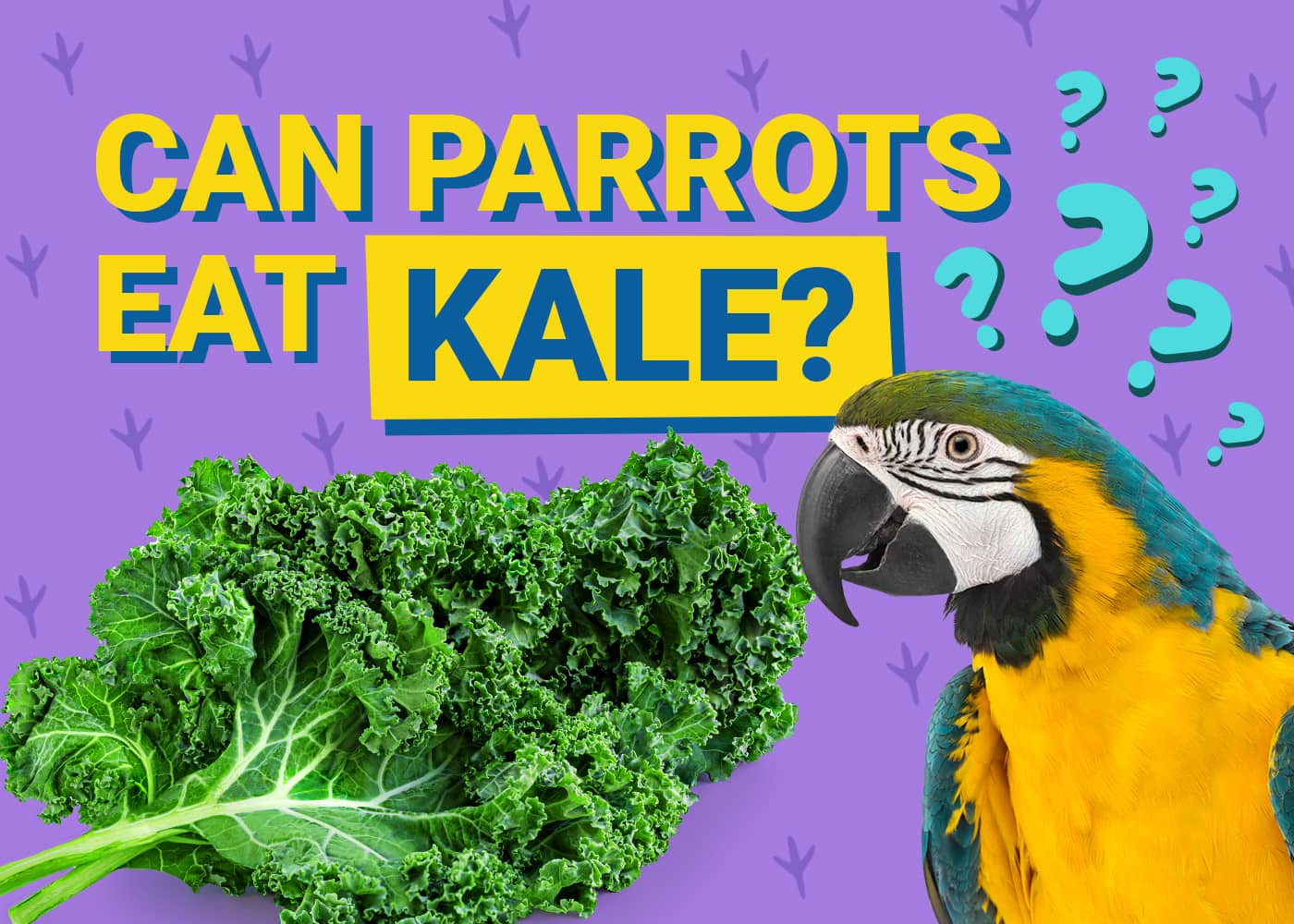 PetKeen_Can Parrots Eat_kale