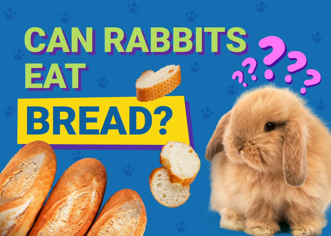 Can Rabbits Eat bread