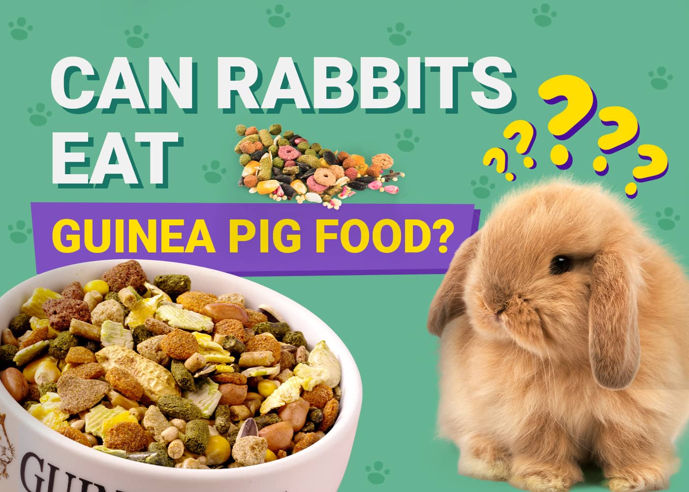 Can Rabbits Eat guinea pig food