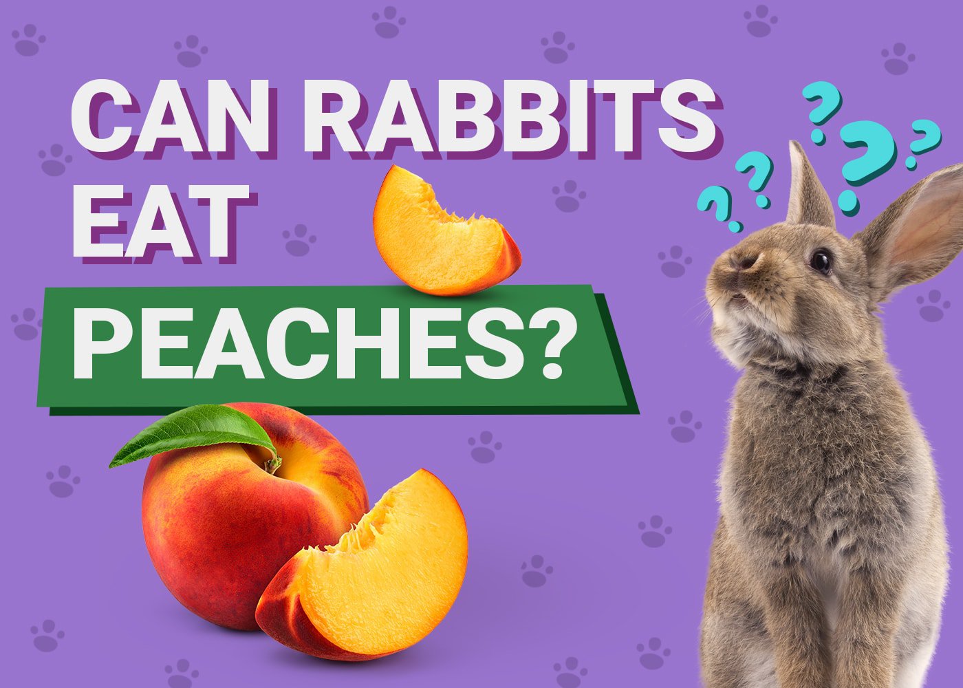 Can Rabbits Eat peaches