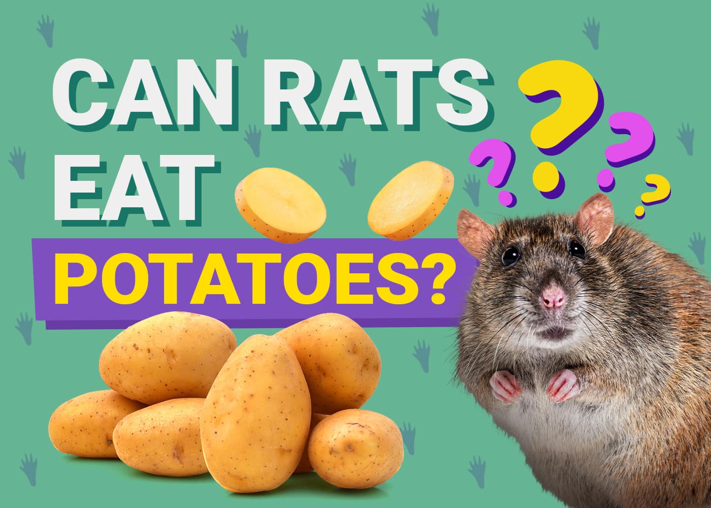 Can Rats Eat Potatoes