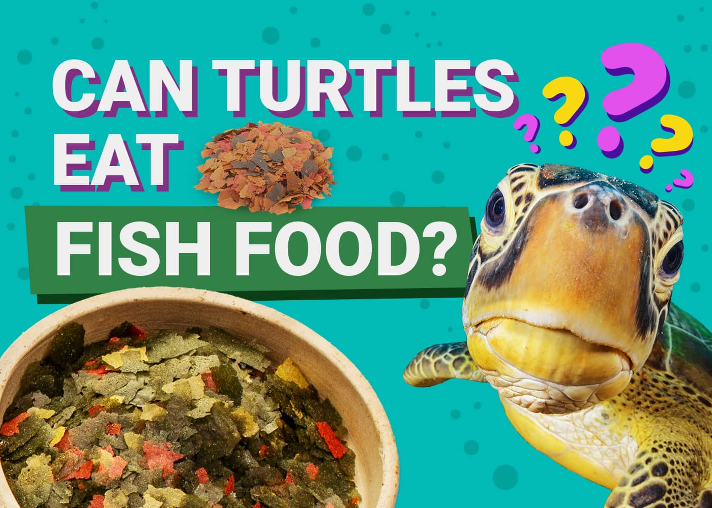 Can Turtles Eat Fish Food
