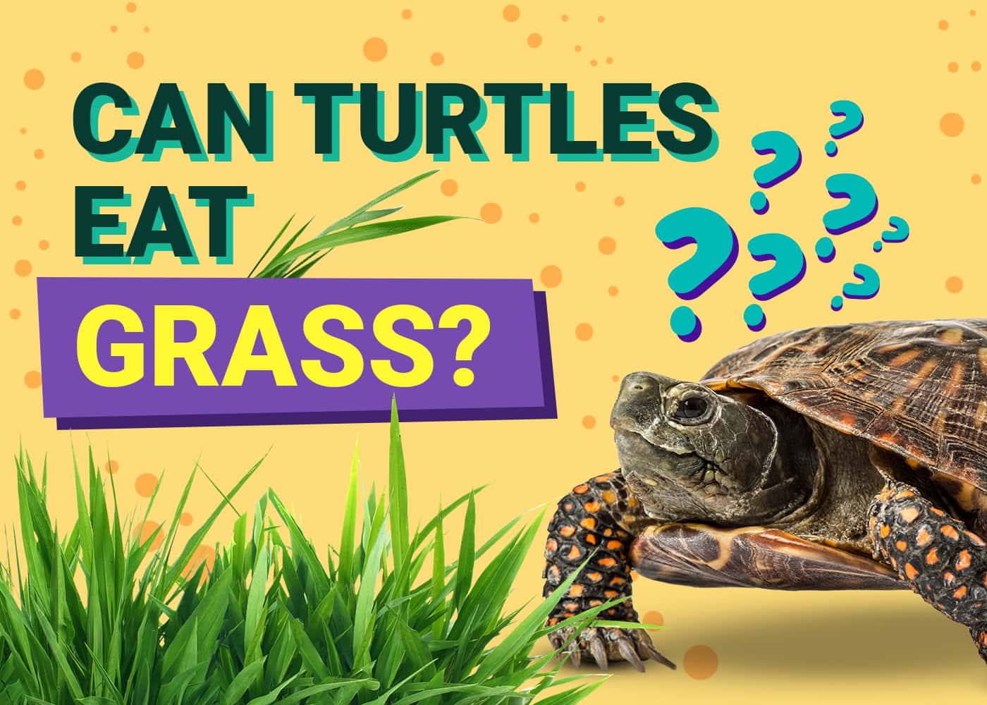 Can Turtles Eat Grass