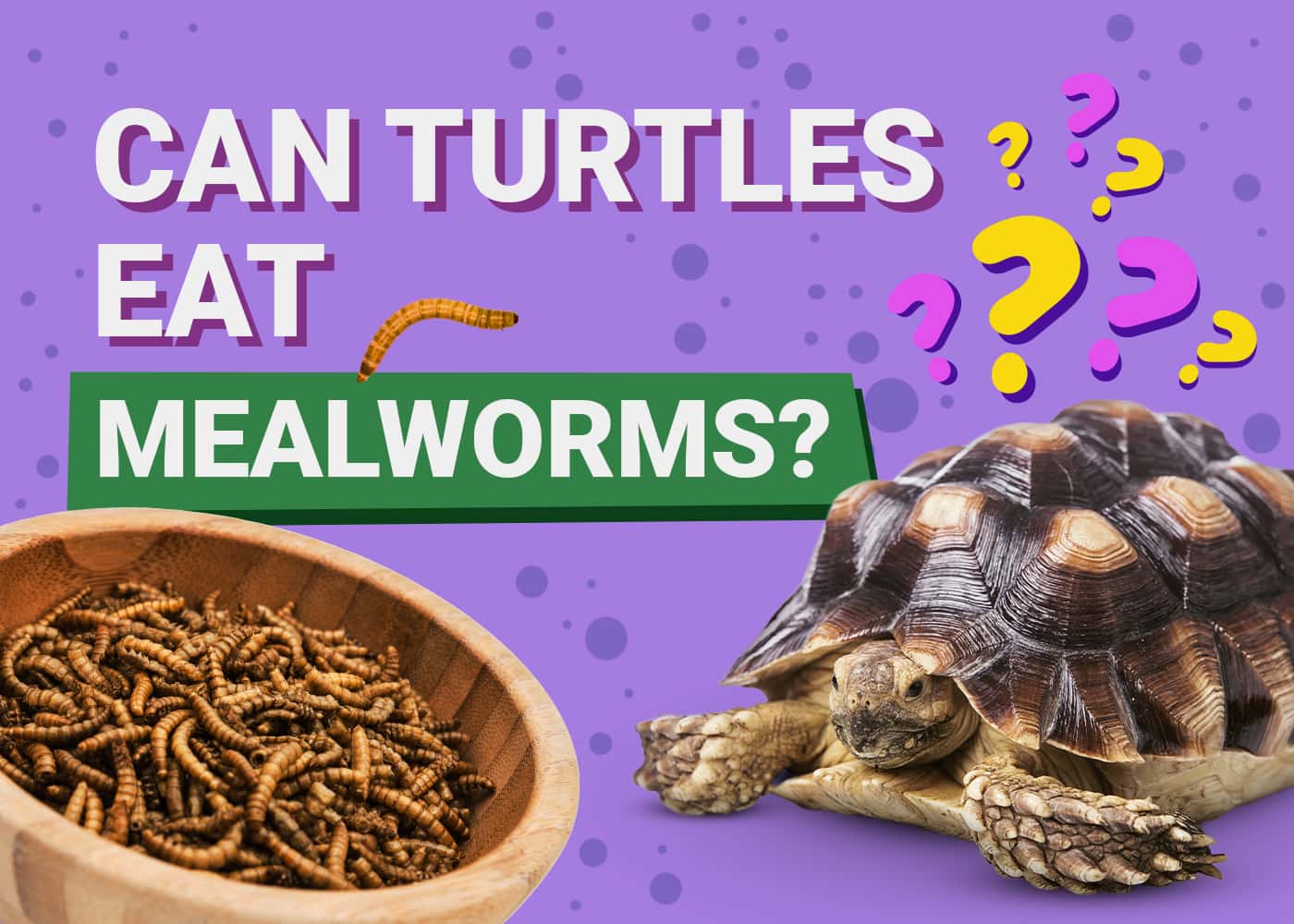Can Turtles Eat Mealworms