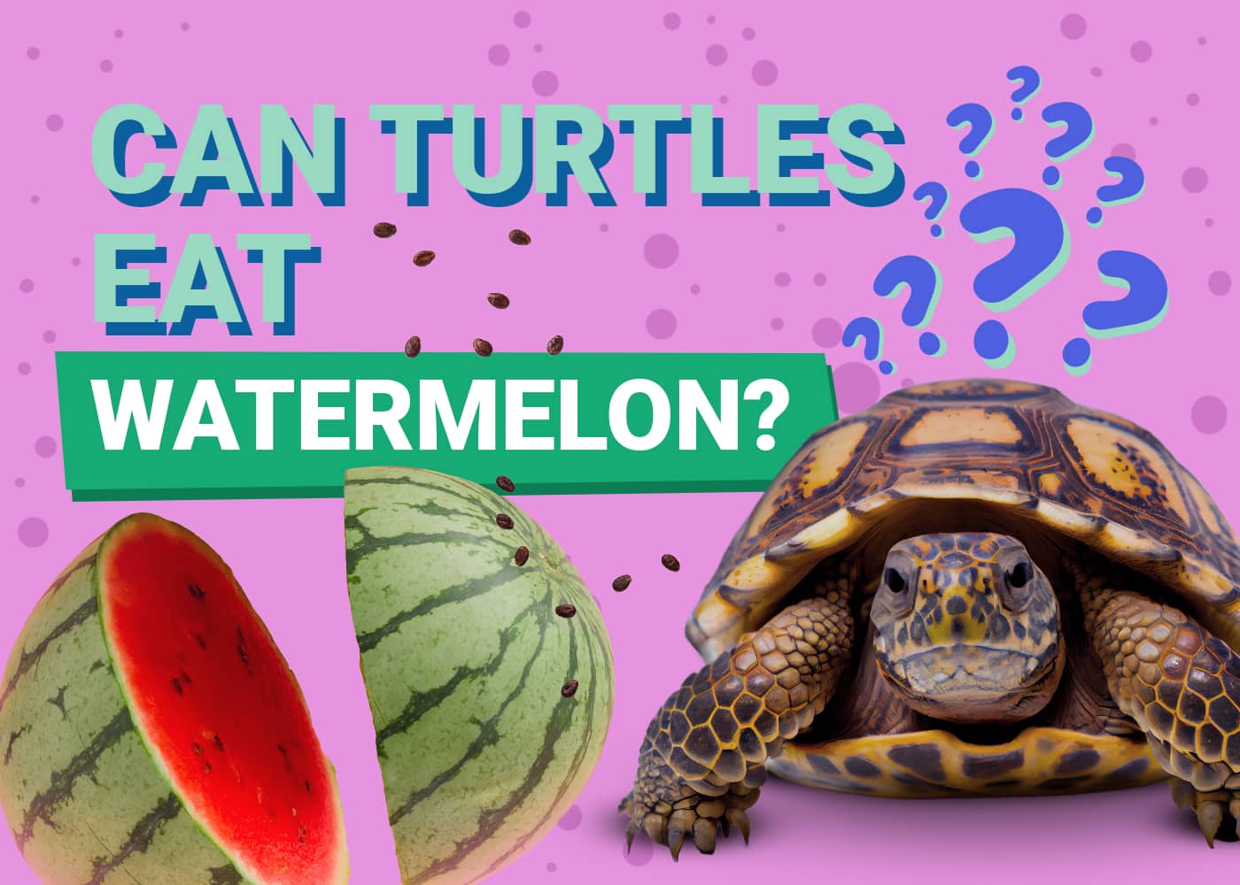 Can Turtles Eat Watermelon