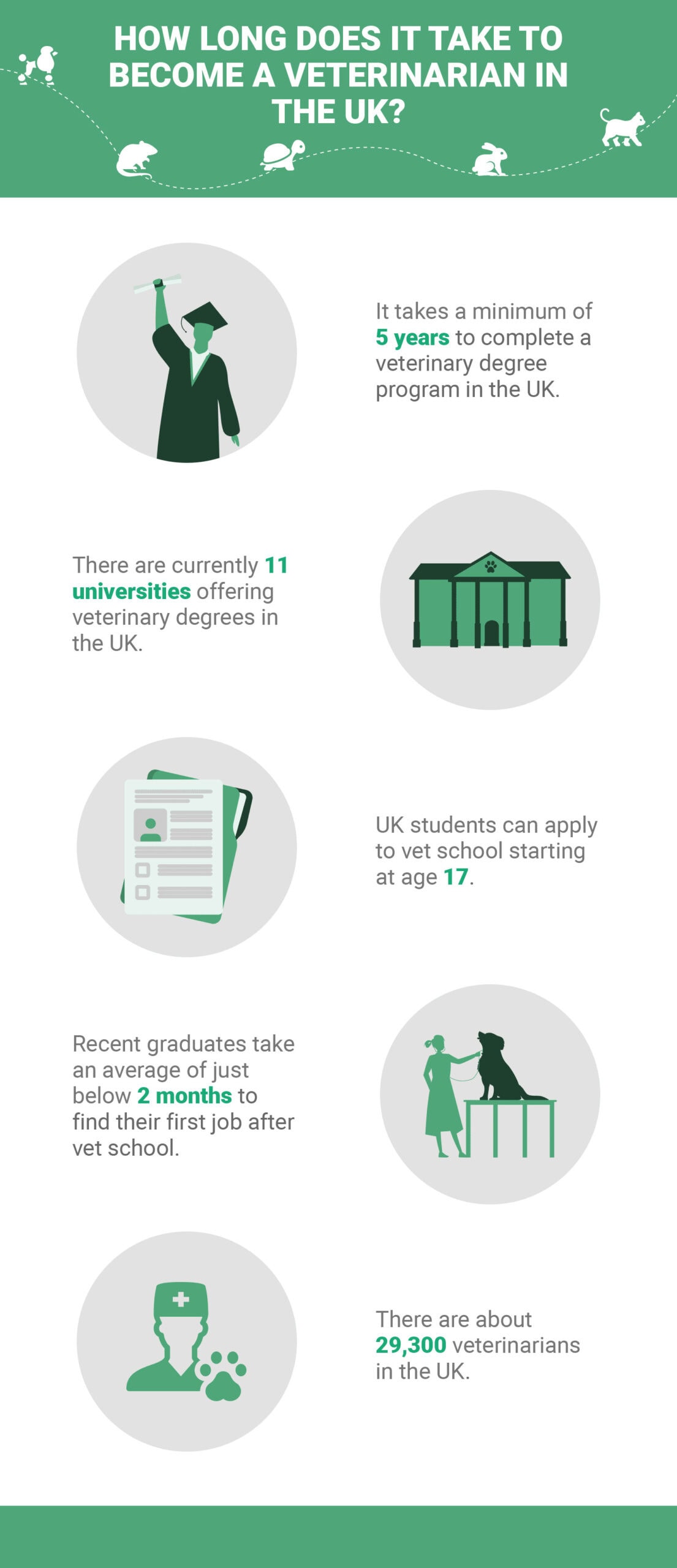 How Long Does It Take To Become A Vet In UK
