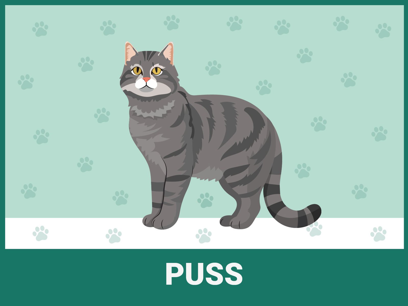 Puss