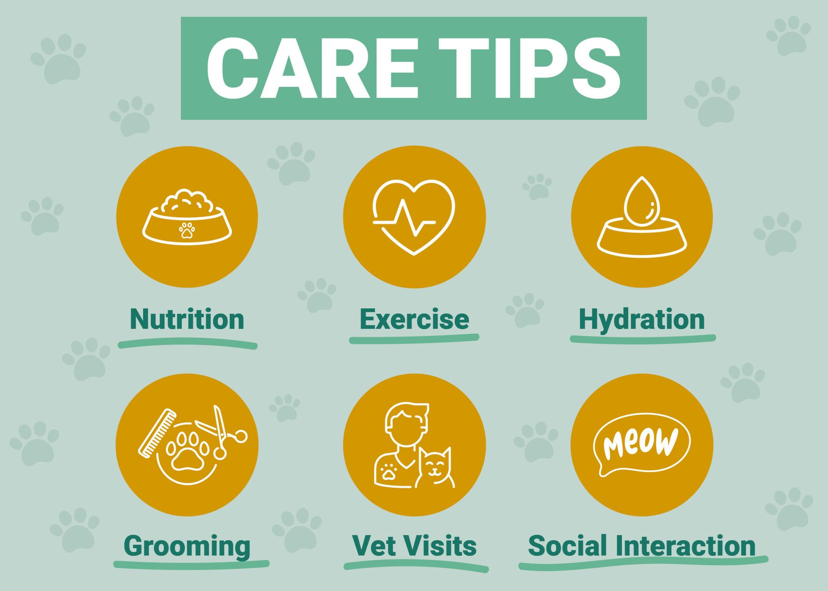 care tips