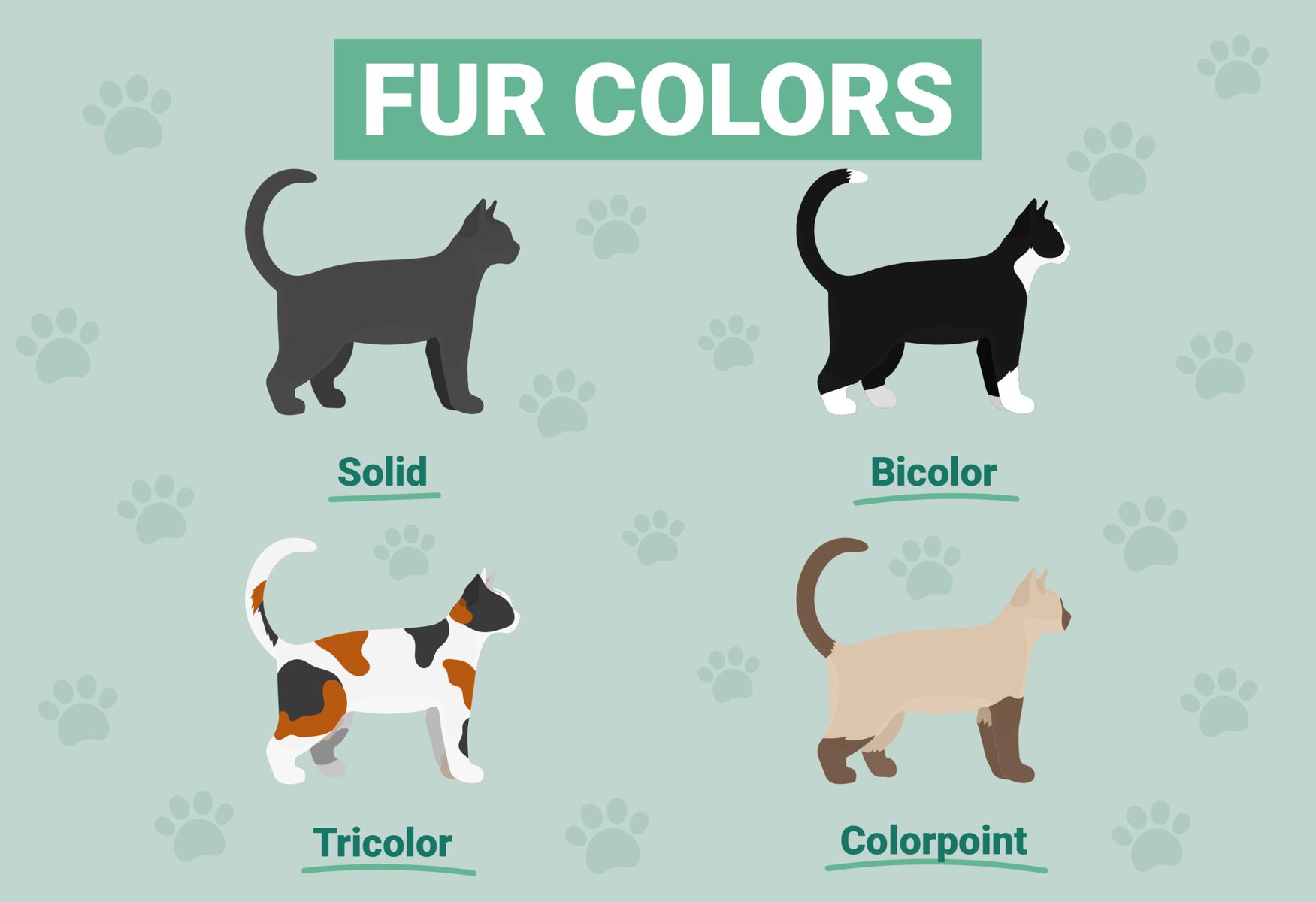 Fur color patterns