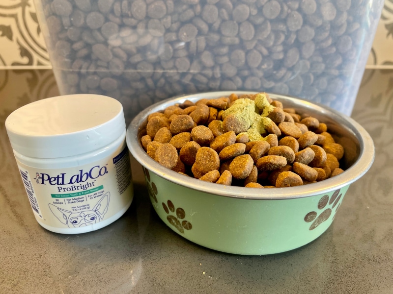 PetLab Co. ProBright - a bowl of dog food with probright powder