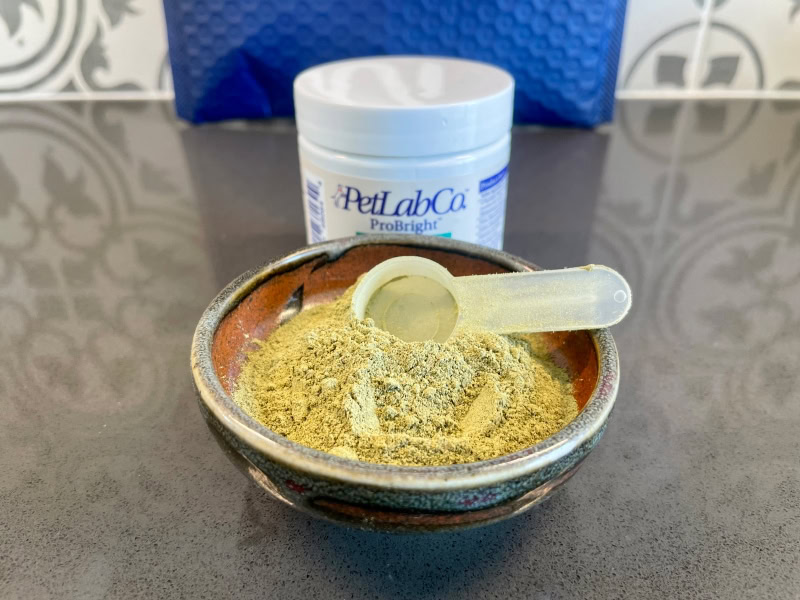 PetLab Co. ProBright - a bowl of probright powder