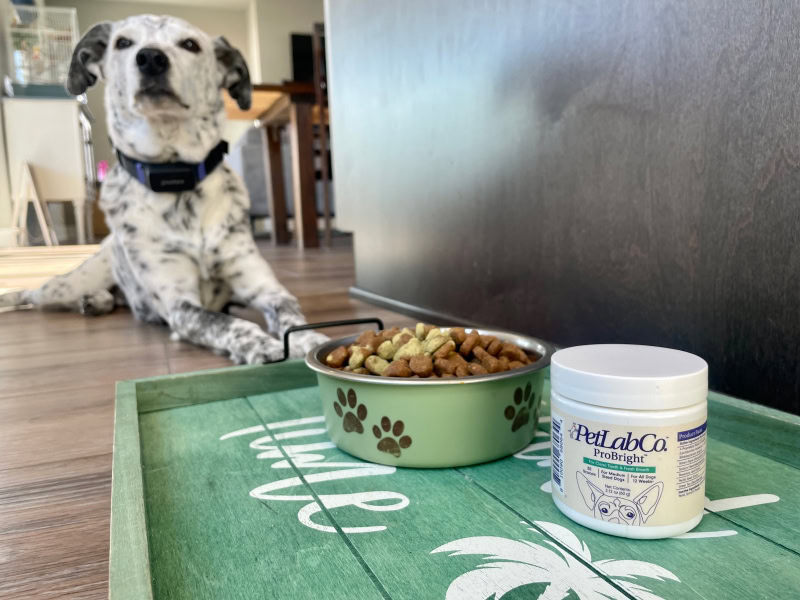 PetLab Co. ProBright - probright and dog food with ragz on the background