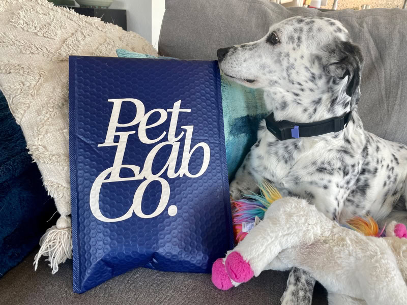 PetLab Co. ProBright - ragz sniffing the product packaging