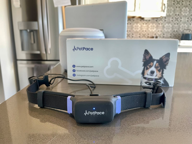 PetPace Smart Collar - product and the box