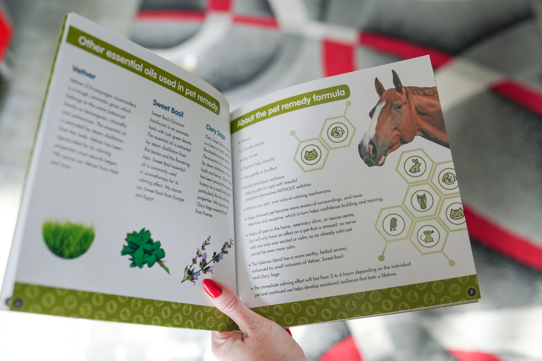 PetRemedy-Product-Photos (12)